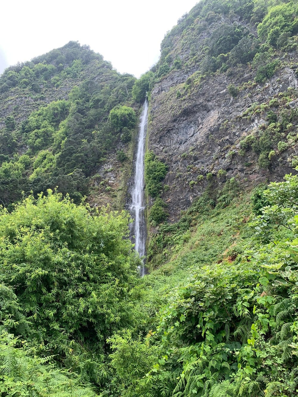 Madeira Island waterfall view guided tour