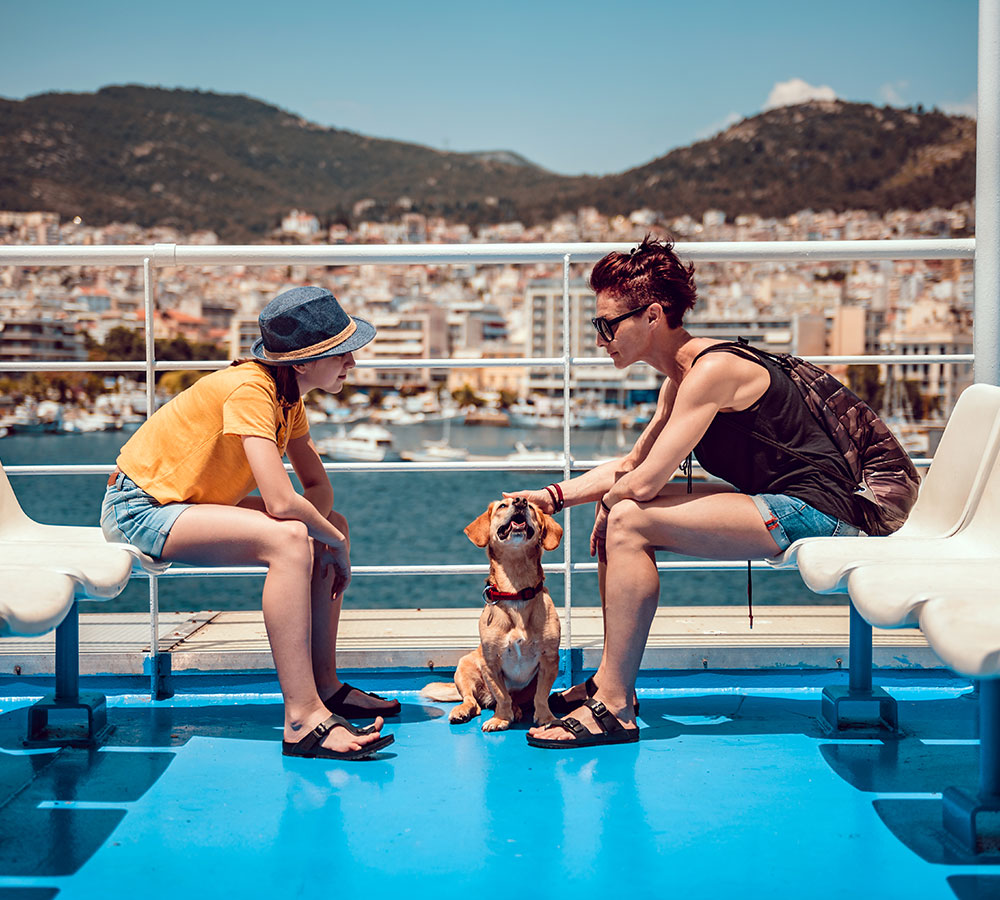 Direct Ferries Reviews And Guide | Best Online Ferry Ticket